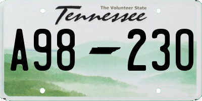 TN license plate A9823O