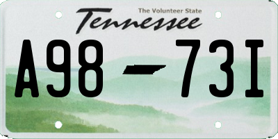 TN license plate A9873I
