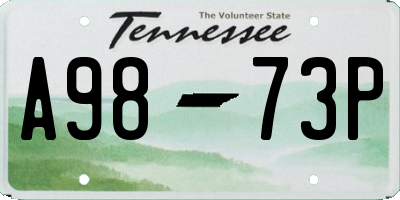 TN license plate A9873P