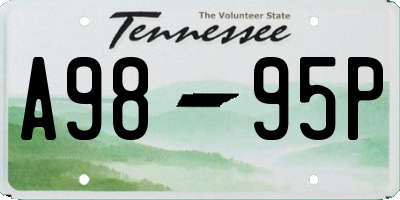 TN license plate A9895P