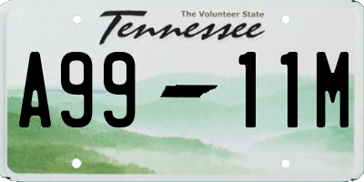 TN license plate A9911M