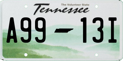 TN license plate A9913I