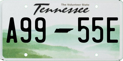 TN license plate A9955E