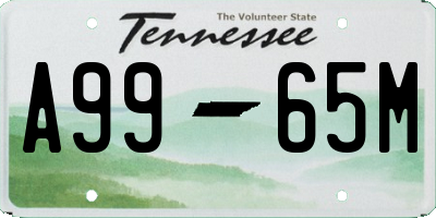 TN license plate A9965M
