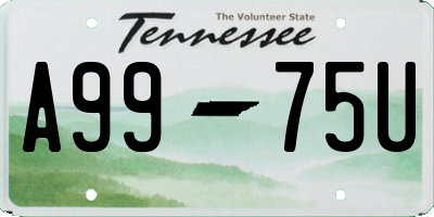 TN license plate A9975U