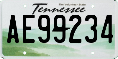 TN license plate AE99234