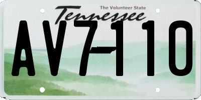 TN license plate AV7110