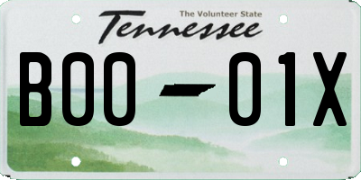 TN license plate B0001X