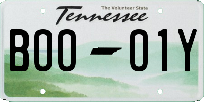 TN license plate B0001Y