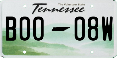 TN license plate B0008W