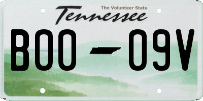 TN license plate B0009V