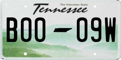 TN license plate B0009W