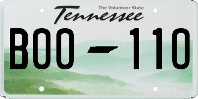 TN license plate B0011O