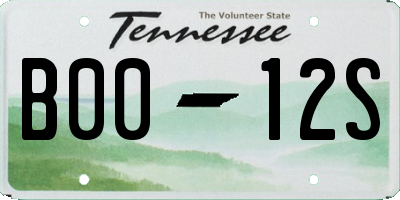 TN license plate B0012S
