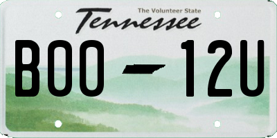 TN license plate B0012U