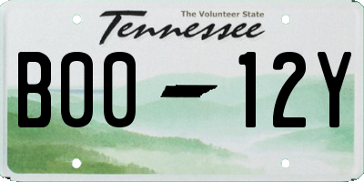 TN license plate B0012Y