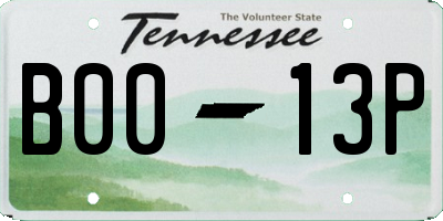 TN license plate B0013P