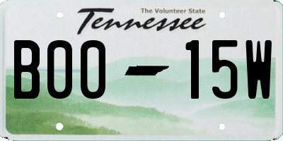 TN license plate B0015W