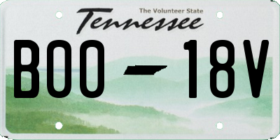 TN license plate B0018V