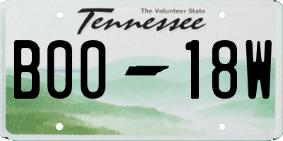 TN license plate B0018W