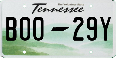 TN license plate B0029Y