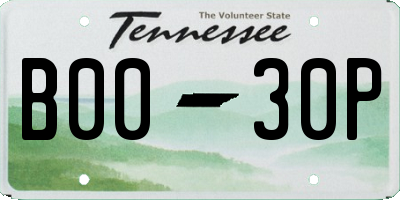 TN license plate B0030P