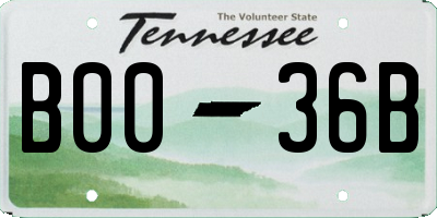 TN license plate B0036B