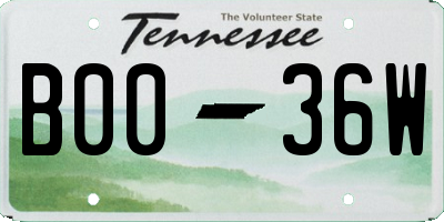 TN license plate B0036W