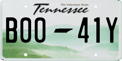 TN license plate B0041Y