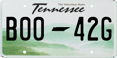 TN license plate B0042G