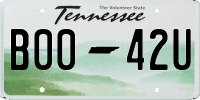 TN license plate B0042U
