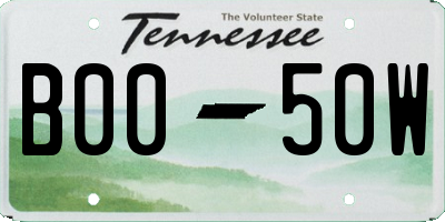TN license plate B0050W