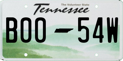 TN license plate B0054W