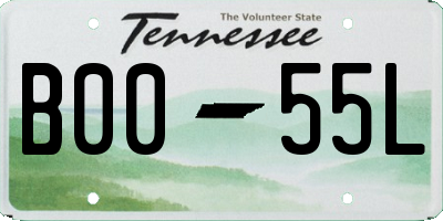 TN license plate B0055L