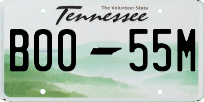 TN license plate B0055M