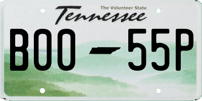 TN license plate B0055P