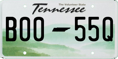 TN license plate B0055Q