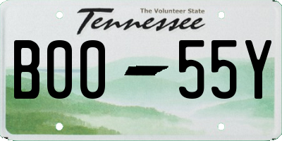 TN license plate B0055Y