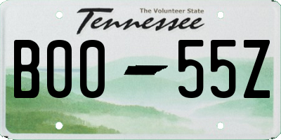 TN license plate B0055Z