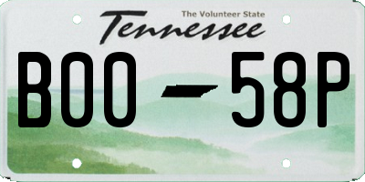 TN license plate B0058P