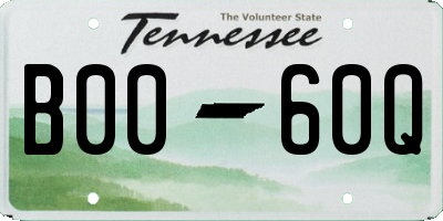 TN license plate B0060Q