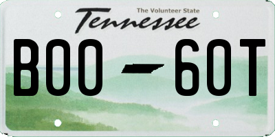 TN license plate B0060T