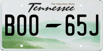 TN license plate B0065J