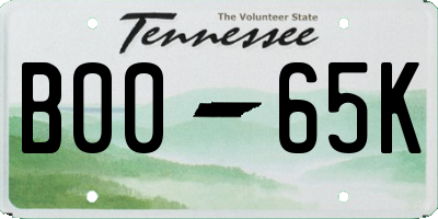 TN license plate B0065K
