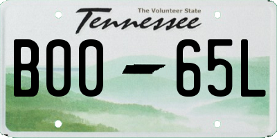 TN license plate B0065L