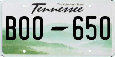 TN license plate B0065O