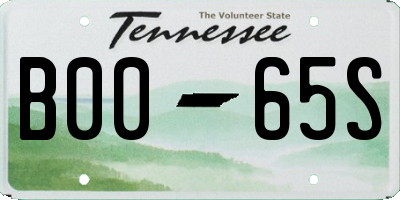 TN license plate B0065S
