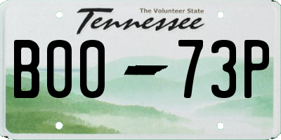 TN license plate B0073P
