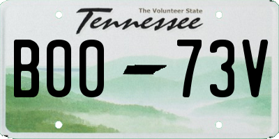 TN license plate B0073V