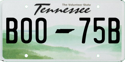 TN license plate B0075B